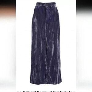 Treasure & Bond relaxed fit wide leg plisse velvet pants nwot size 4